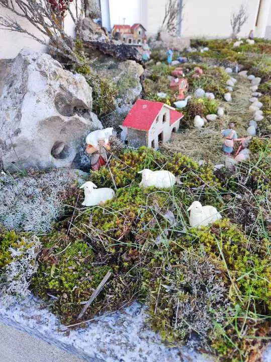 17347cb7-099f-413d-8cd5-b7049cf7842d