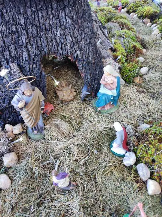 0c4a60f3-7dfe-405b-9ef0-6c2dbc92f188