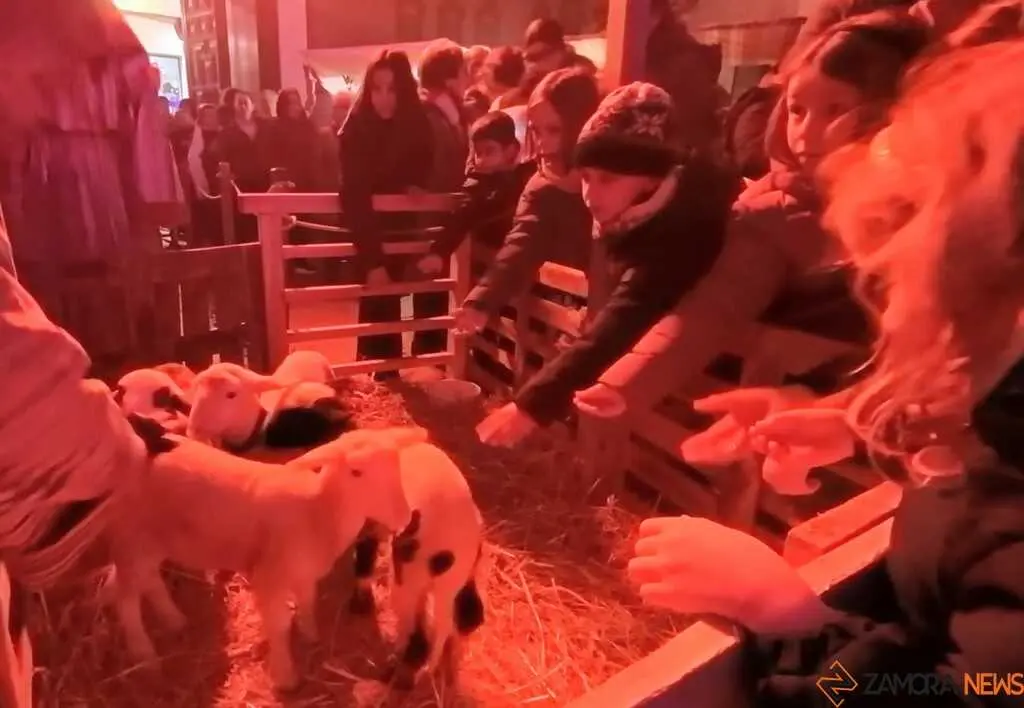 Bel&eacute;n Viviente Zamora _38