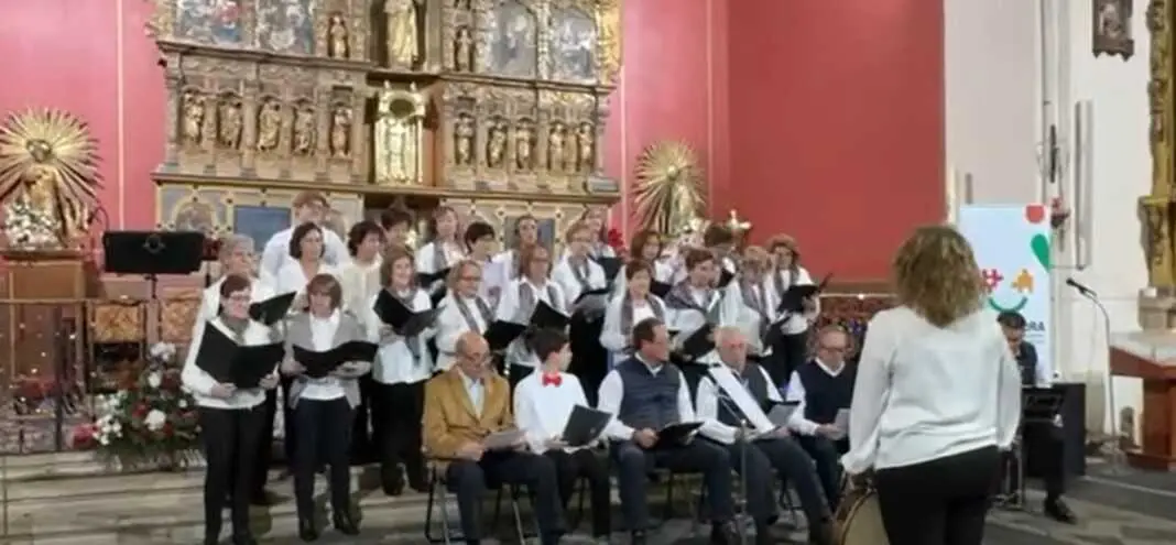 Concierto Solidario Fuentelape&ntilde;a con AFA Zamora - imagen redes