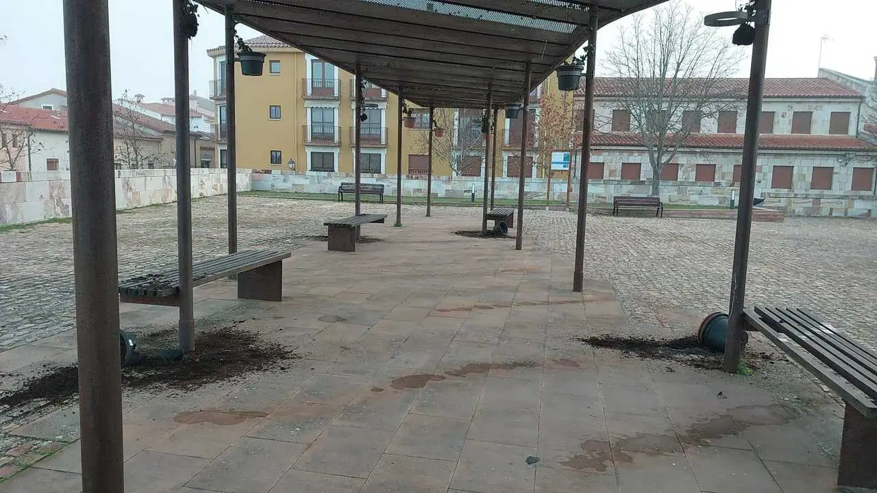 Papeleras destrozadas Zamora en Navidad