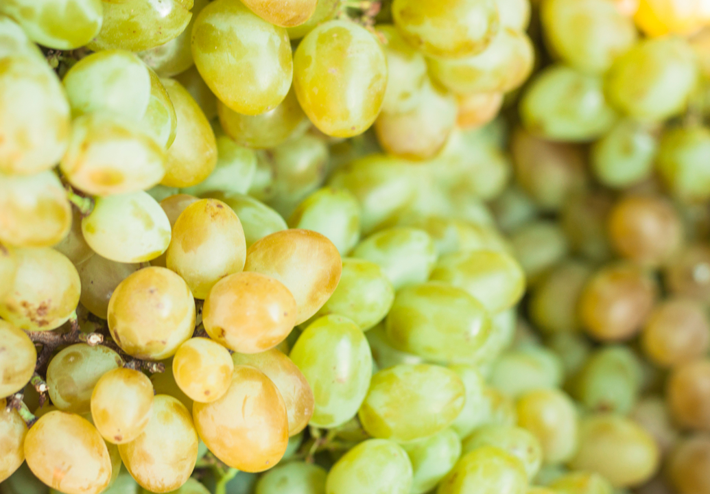 Imagen de uvas. Foto FACUA