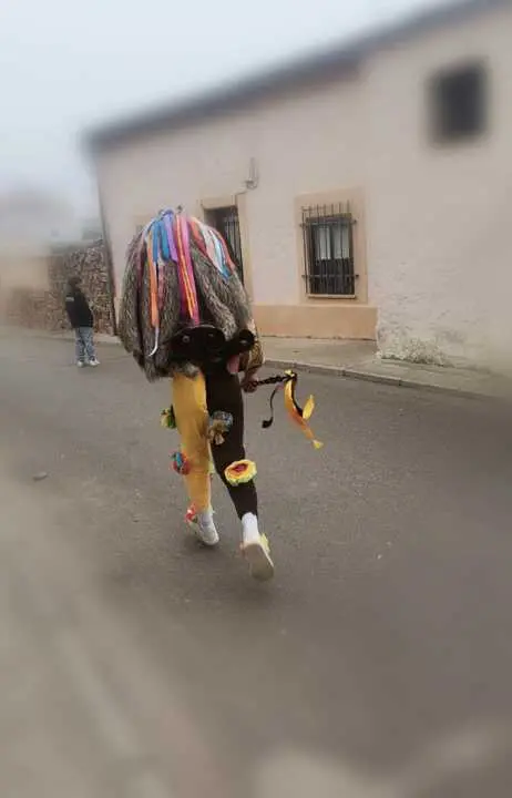 Zangarr&oacute;n de Montamarta _2