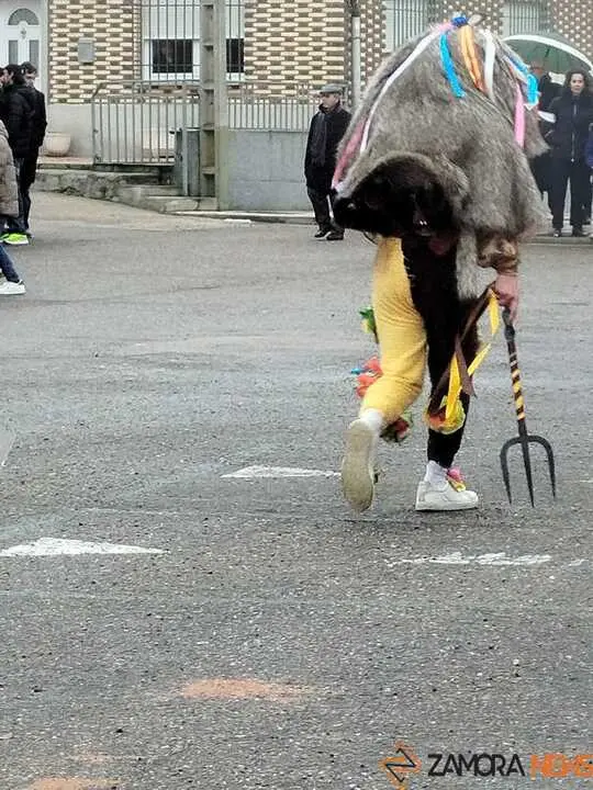 Zangarr&oacute;n de Montamarta  _2