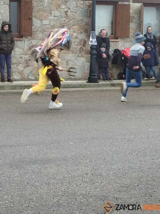 Zangarr&oacute;n de Montamarta  _7