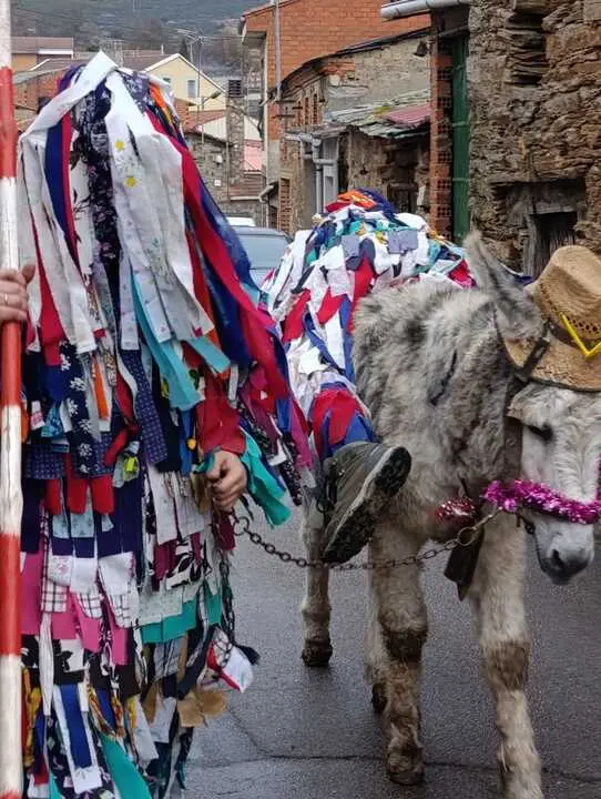 Cencerrones Abejera - imagen cedida A.C. El Castro _9