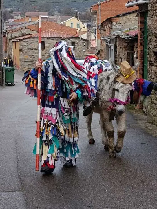 Cencerrones Abejera - imagen cedida A.C. El Castro _12