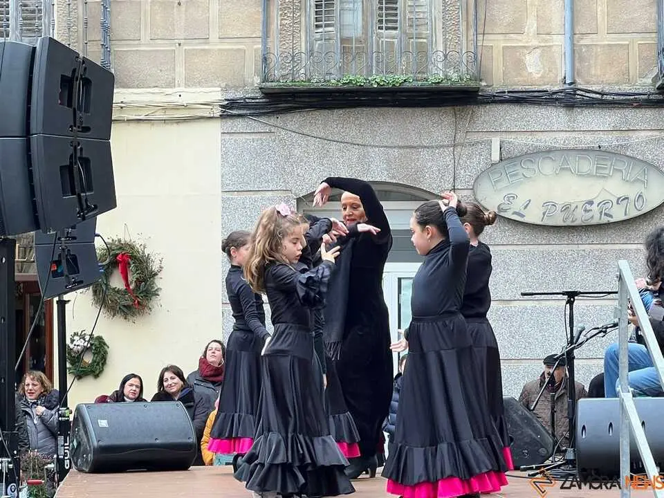 Escuela de Baile Carmen Ledesma actuaci&oacute;n navidad _10