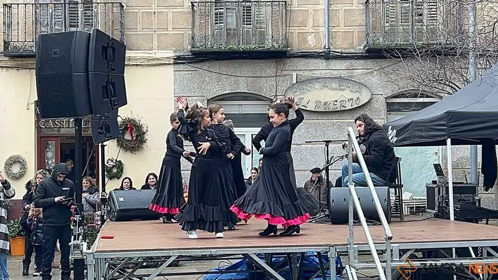 Escuela de Baile Carmen Ledesma actuaci&oacute;n navidad _18