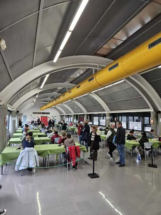 Torneo de Reyes y XVI Open Internacional de Ajedrez_8 -  imagen Diputaci&oacute;n