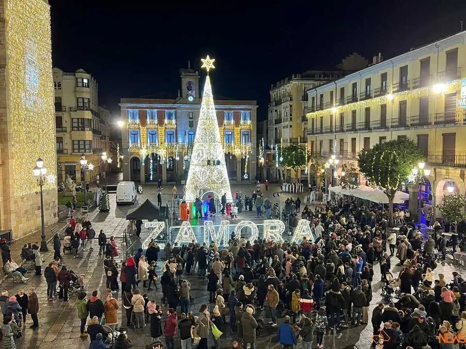 Cartero Real Zamora _5