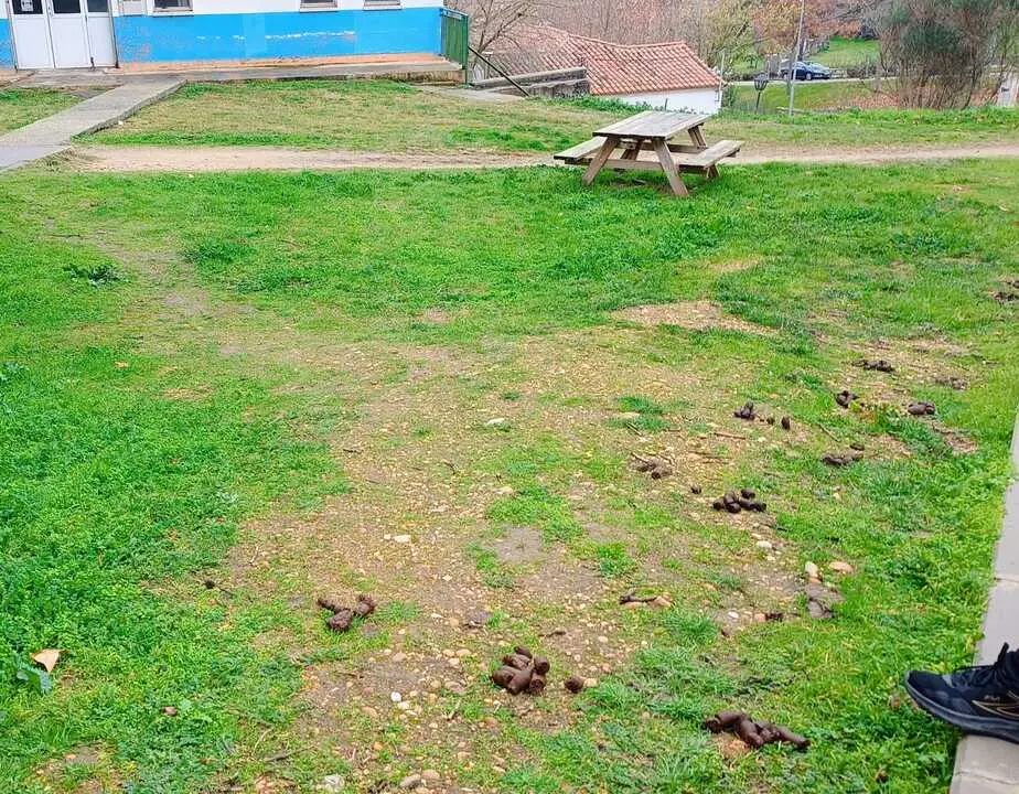 Zona del entorno de La Josa, donde se acumulan las heces de perros