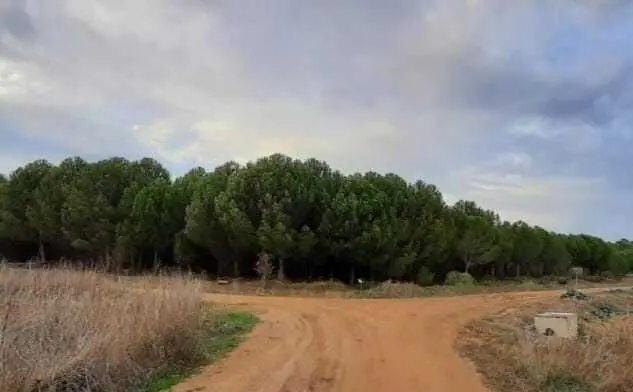 Zona de monte en un pueblo de Zamora