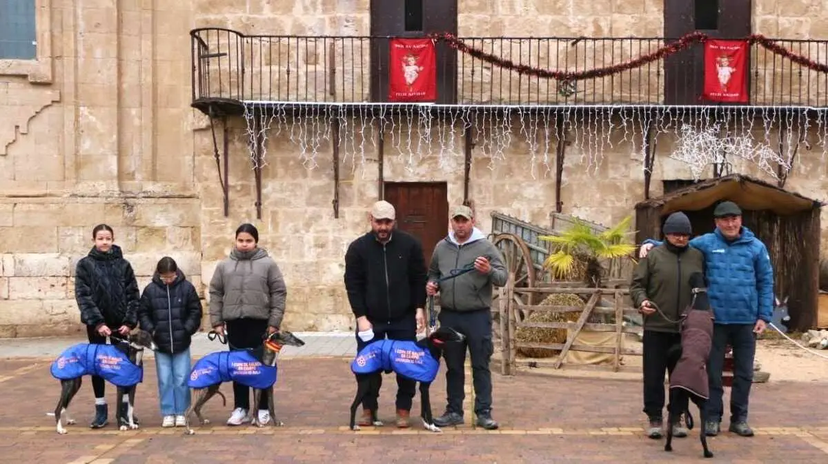 Semifinales de Galgos en Aldeaseca. Foto: Del Nieto Fotograf&iacute;a/&Aacute;vilaRed
