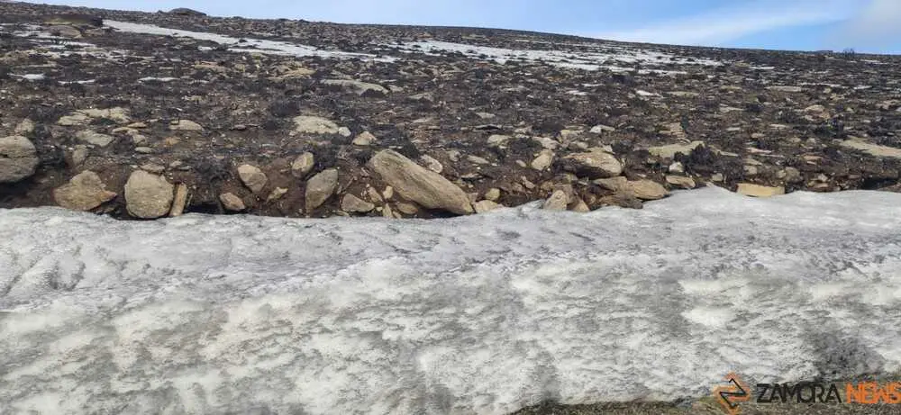 sanabria peces fr&iacute;o_7