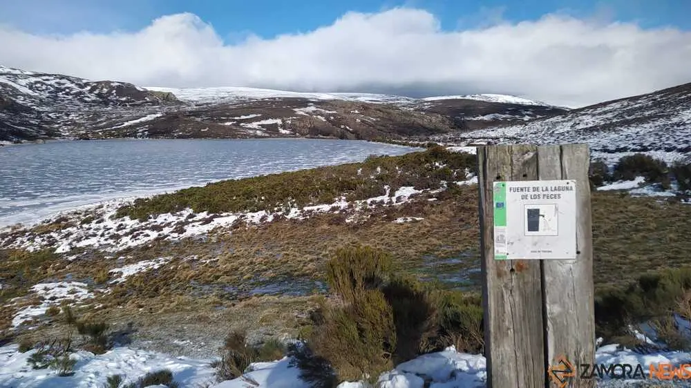 sanabria peces fr&iacute;o_13