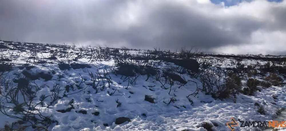 sanabria peces fr&iacute;o_14