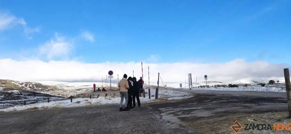 sanabria peces fr&iacute;o_15