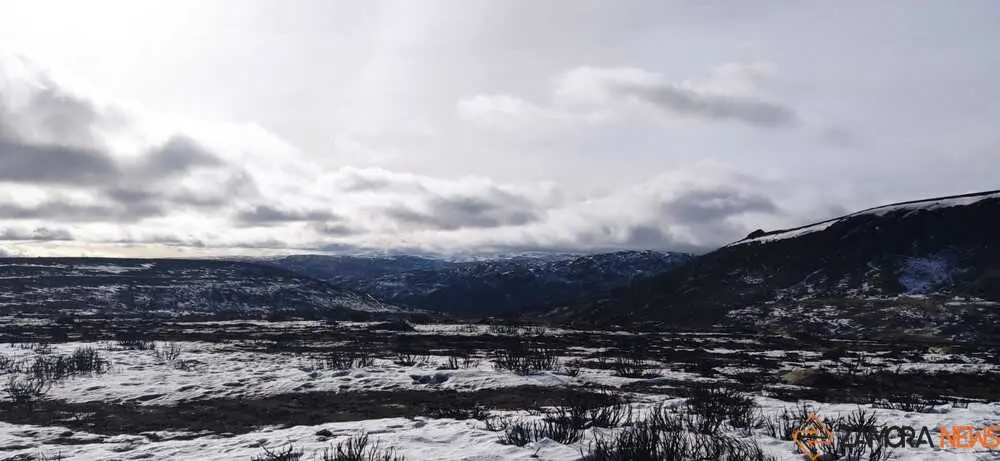 sanabria peces fr&iacute;o_20