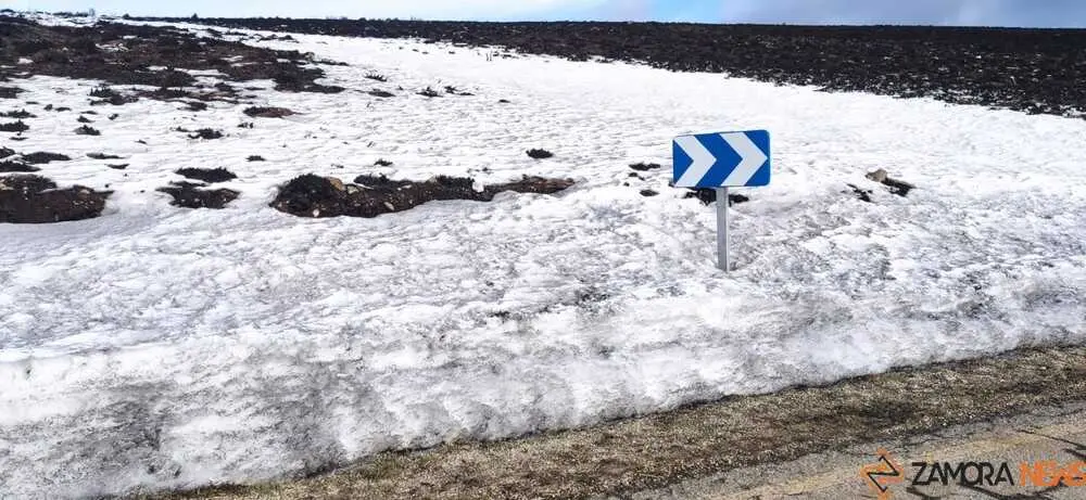 sanabria peces fr&iacute;o_22