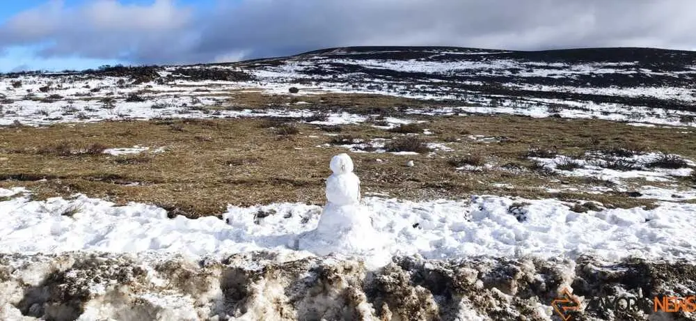 sanabria peces fr&iacute;o_25