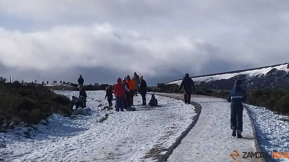 sanabria peces fr&iacute;o_28