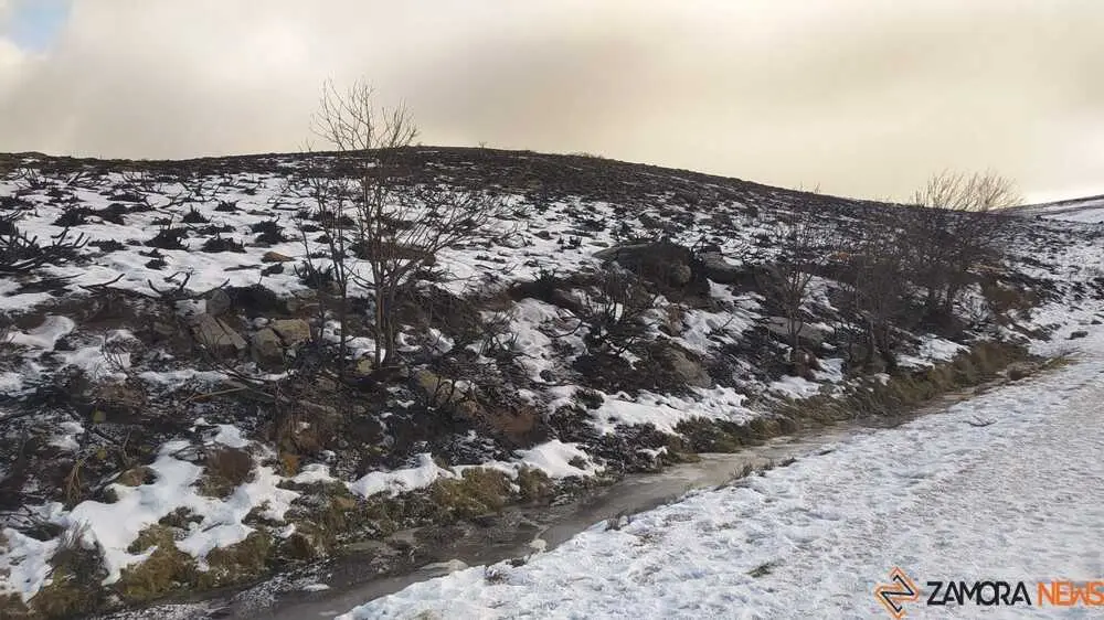 sanabria peces fr&iacute;o_30