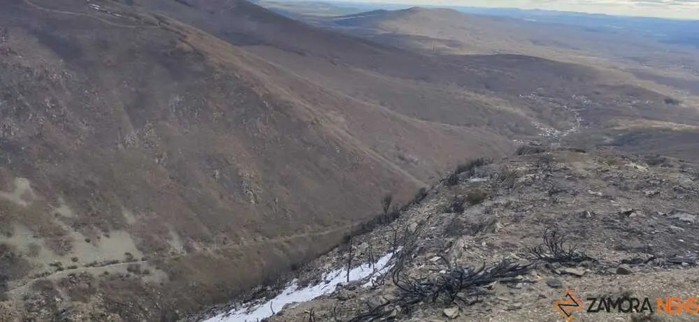 sanabria peces fr&iacute;o_29