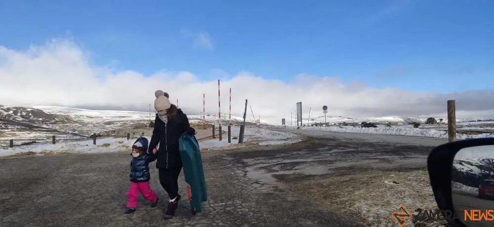 sanabria peces fr&iacute;o_34