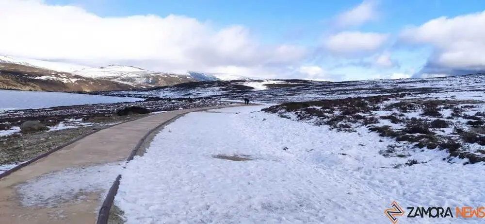 sanabria peces fr&iacute;o_38