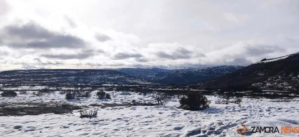 sanabria peces fr&iacute;o_40