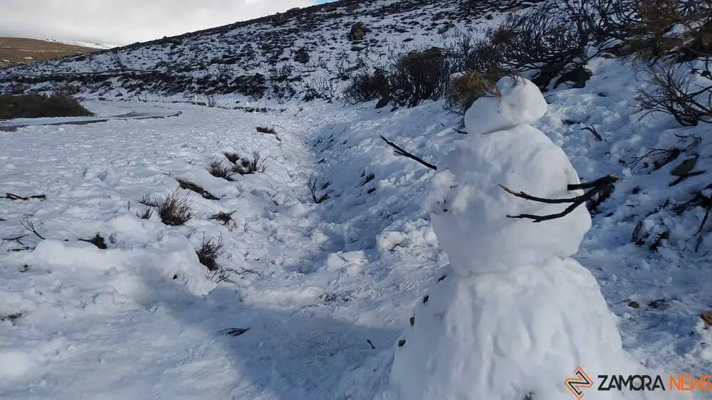 sanabria peces fr&iacute;o_42