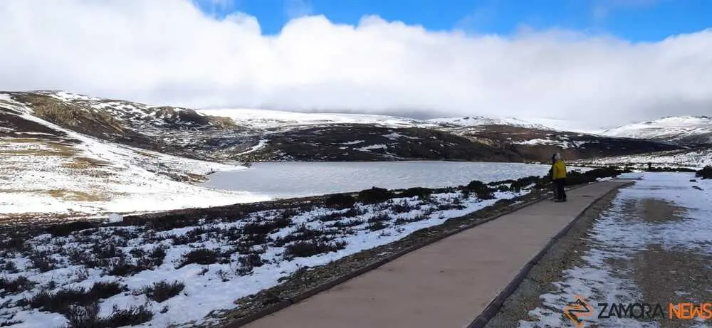 sanabria peces fr&iacute;o_46