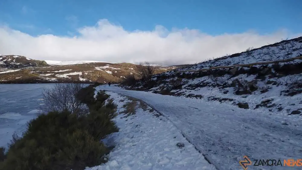 sanabria peces fr&iacute;o_47