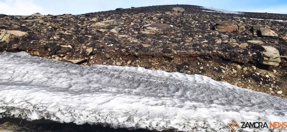 sanabria peces fr&iacute;o_48