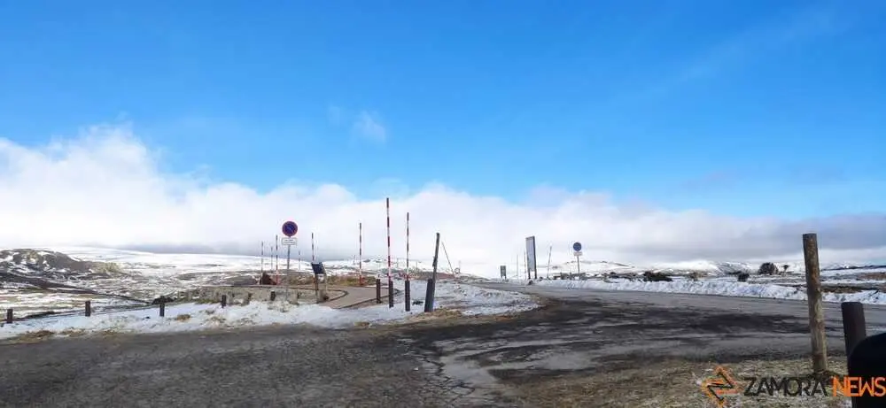 sanabria peces fr&iacute;o_52