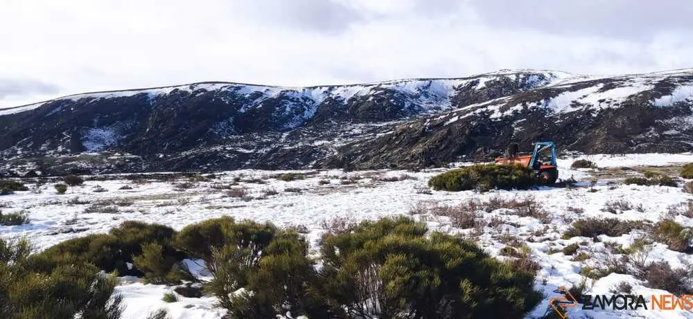 sanabria peces fr&iacute;o_55