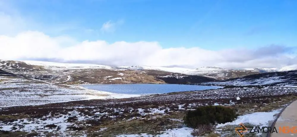 sanabria peces fr&iacute;o_56