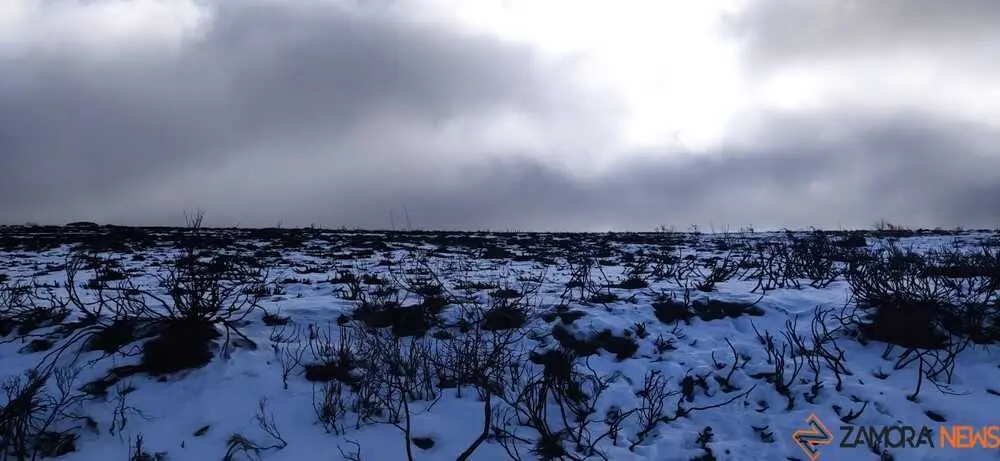 sanabria peces fr&iacute;o_57