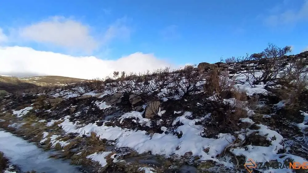 sanabria peces fr&iacute;o_60