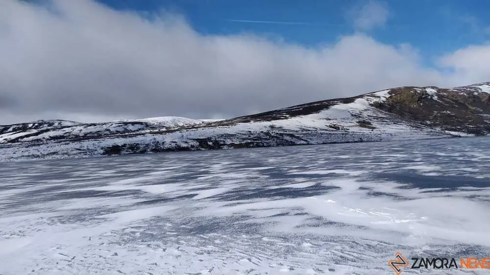 sanabria peces fr&iacute;o_64