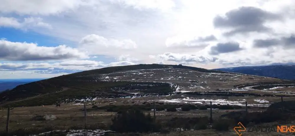 sanabria peces fr&iacute;o_65