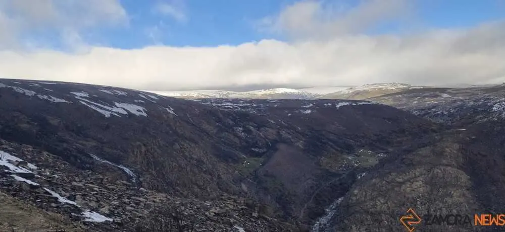 sanabria peces fr&iacute;o_67