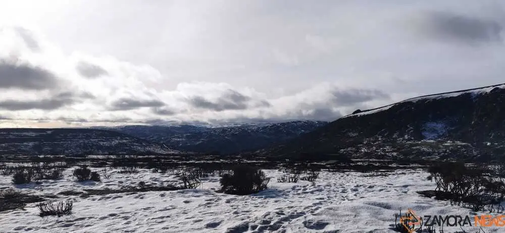 sanabria peces fr&iacute;o_68