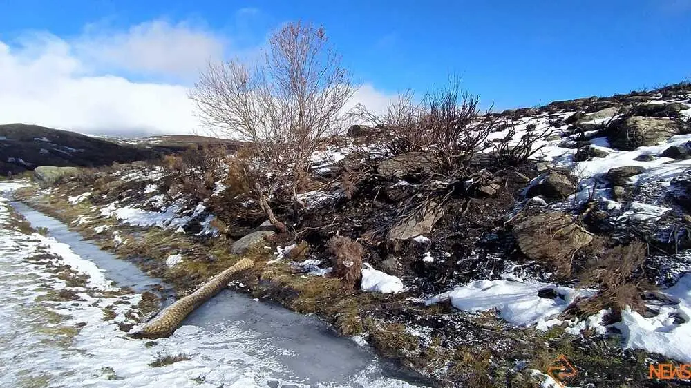 sanabria peces fr&iacute;o_70