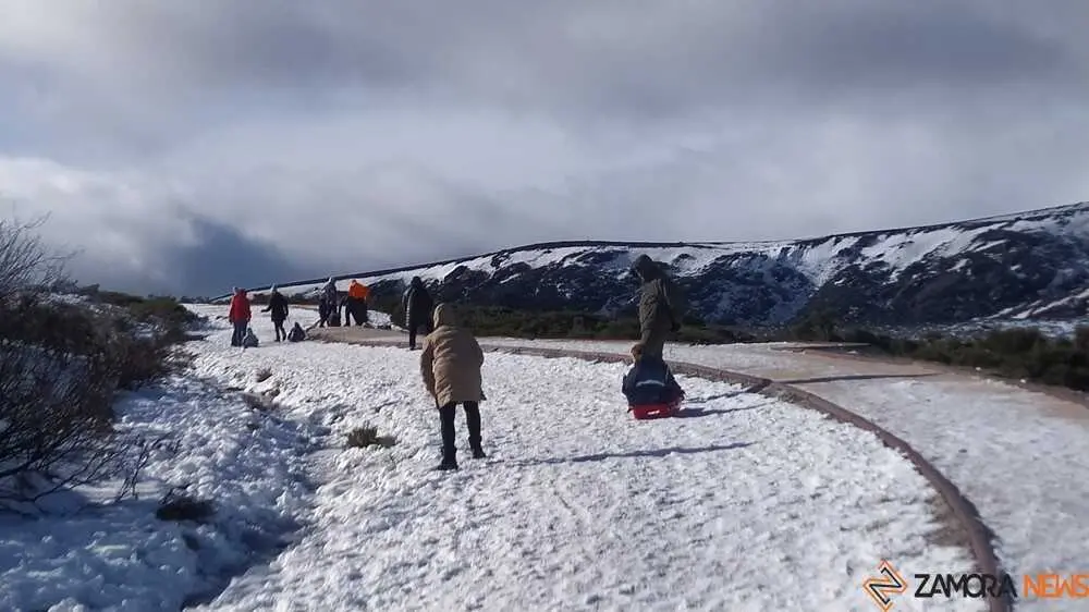 sanabria peces fr&iacute;o_74