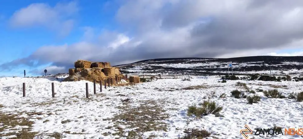sanabria peces fr&iacute;o_78