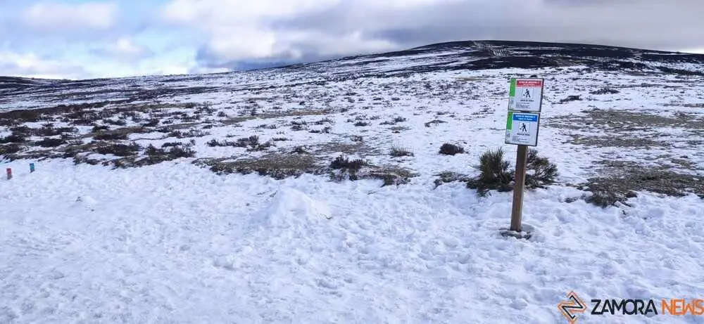 sanabria peces fr&iacute;o_82