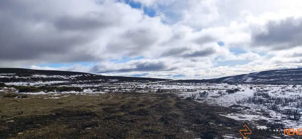 sanabria peces fr&iacute;o_83