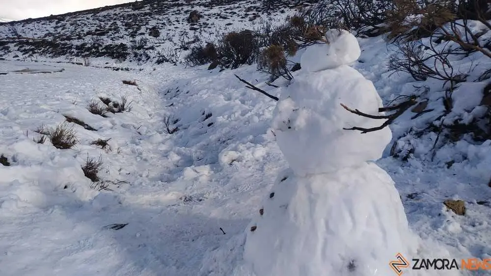 sanabria peces fr&iacute;o_87